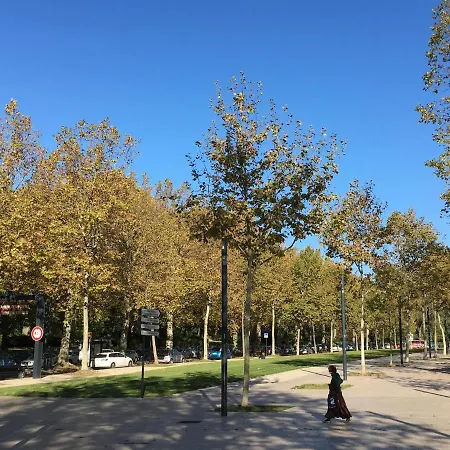 Carmes - Jardin - Studio Pied A Terre En Hyper Centre *